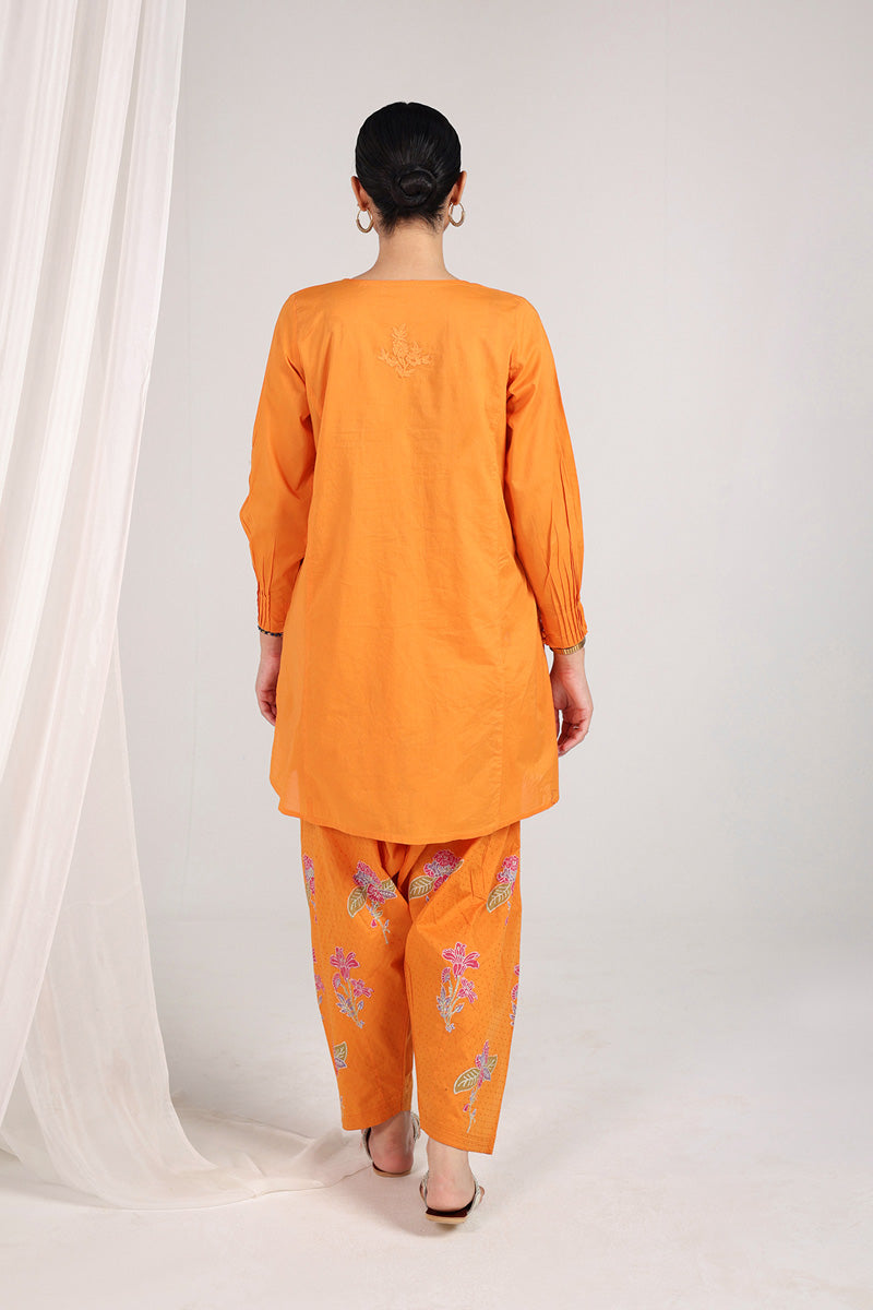 Block-Printed Ferozan Duo