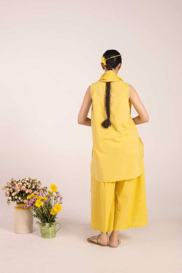 Aina-e-Mehmal Suit