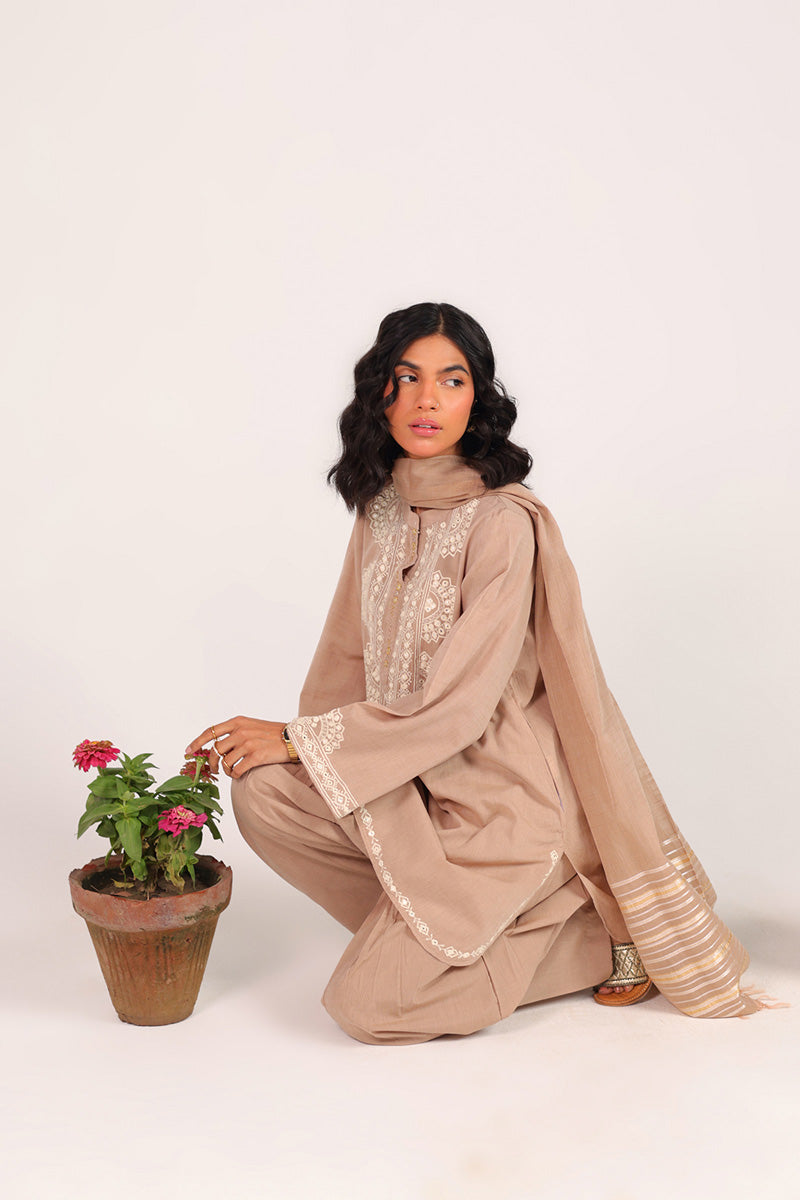 Aina Jhalak Suit