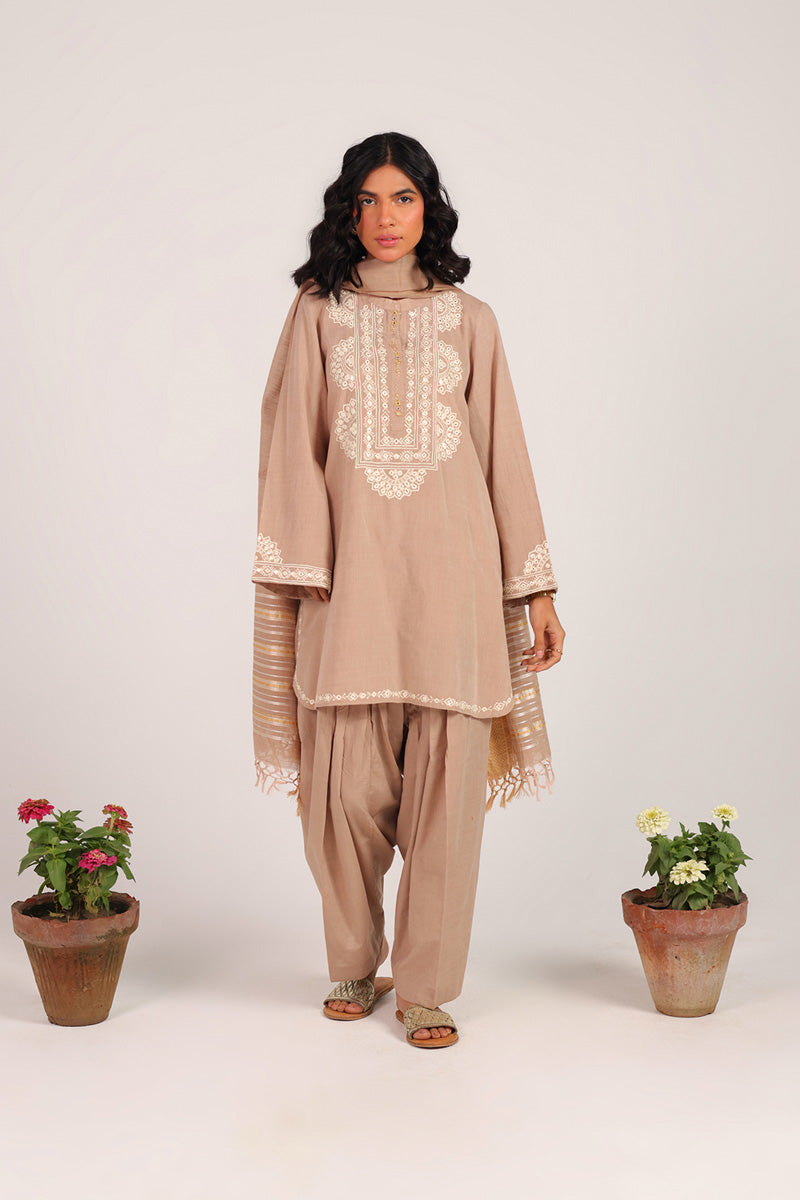 Aina Jhalak Suit