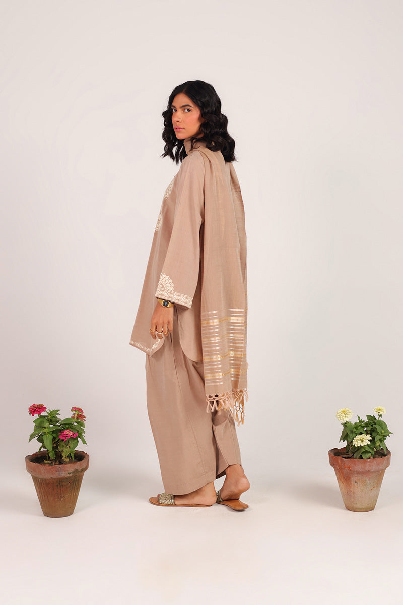 Aina Jhalak Suit
