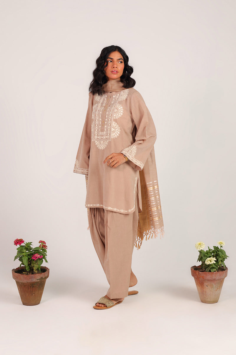 Aina Jhalak Suit