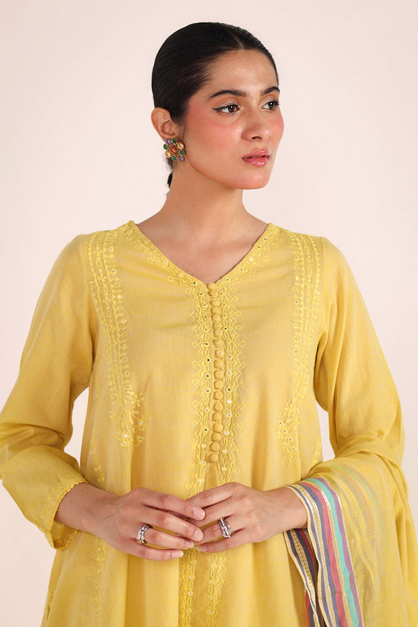 Aina Karigari Suit