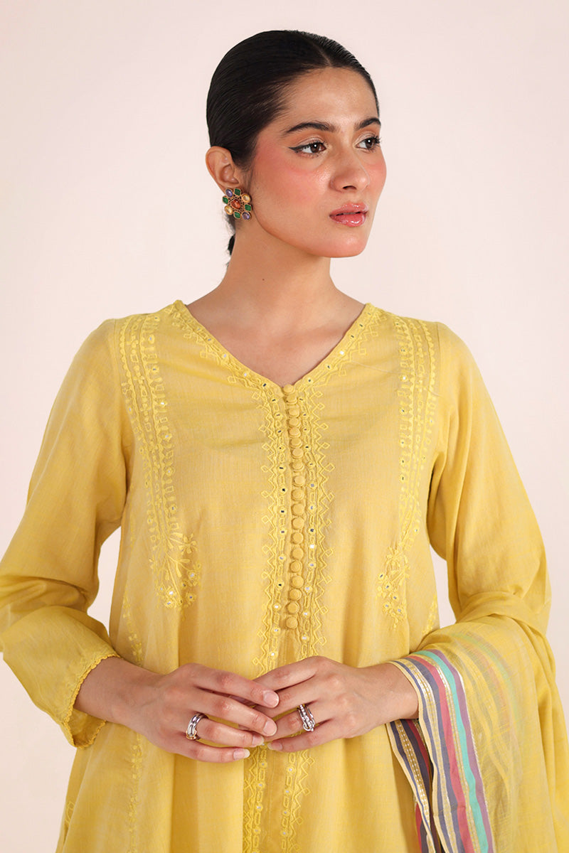 Aina Karigari Suit
