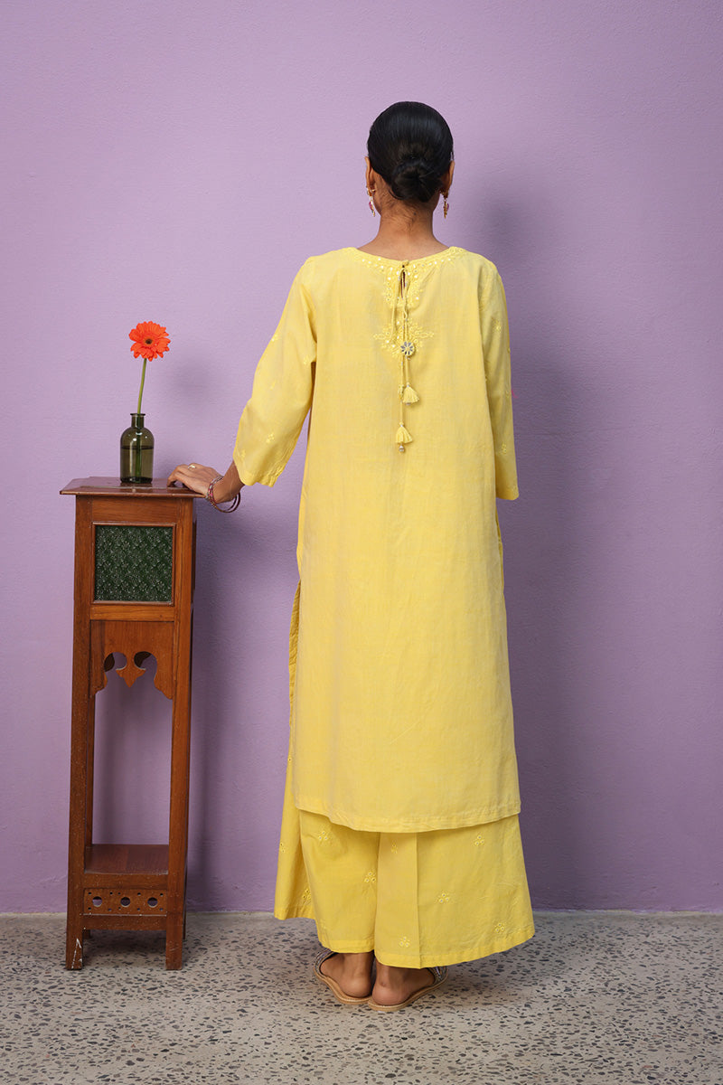Aina Resham Kurta