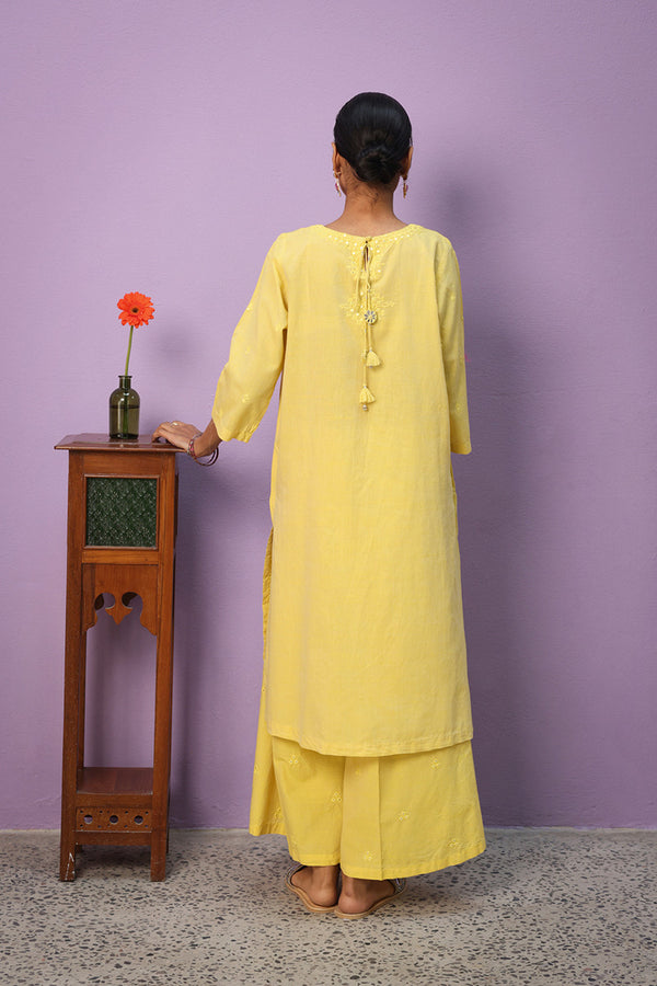 Aina Resham Kurta