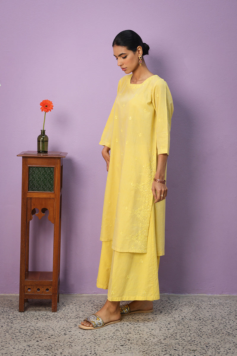 Aina Resham Kurta