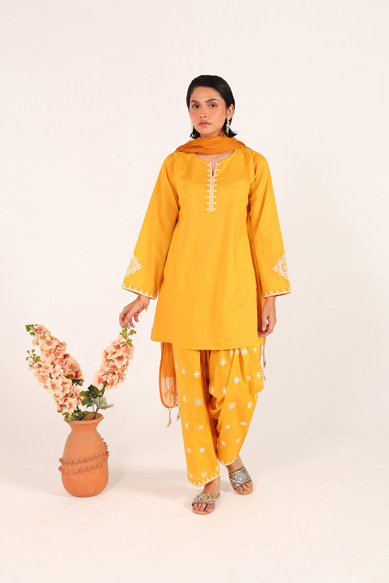 Chakoor Heritage Ensemble