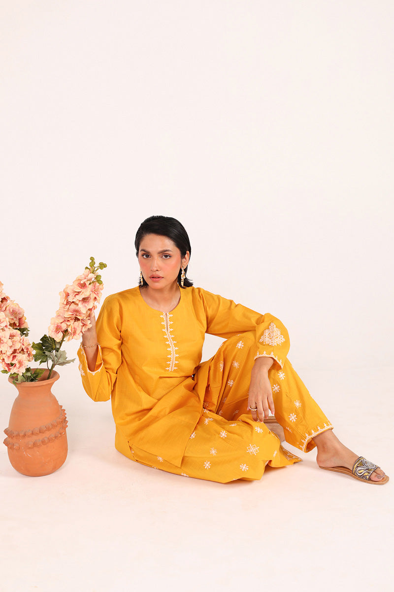 Chakoor Heritage Ensemble