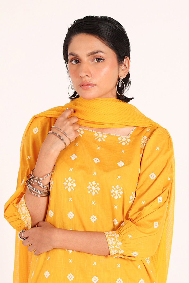 Ethnic Chakoor Dual-Set