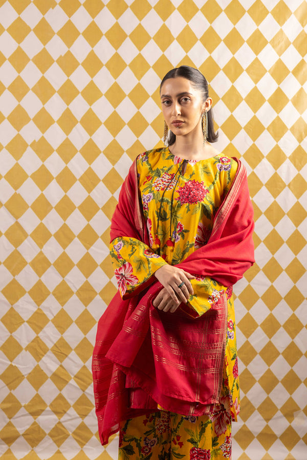 Zareen Beaded Blush Dupatta