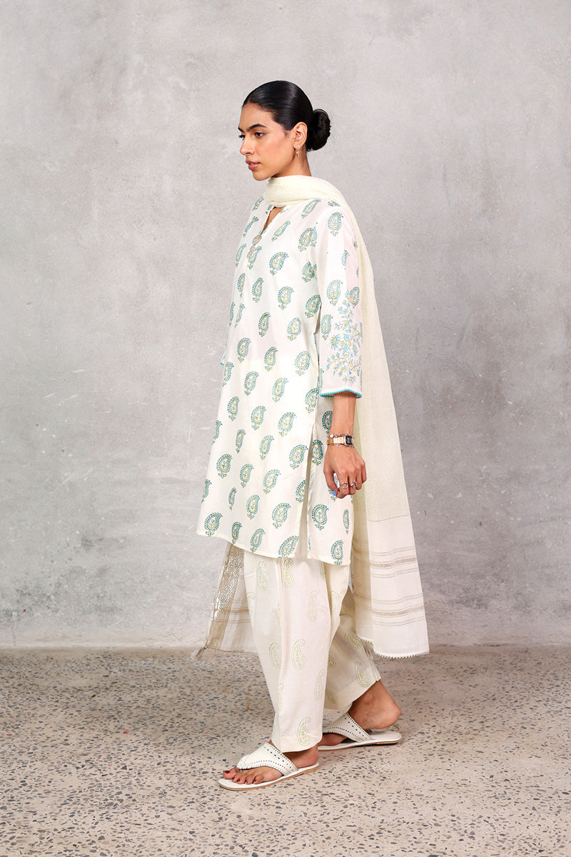 Anarkali Signature 3 Piece Suit