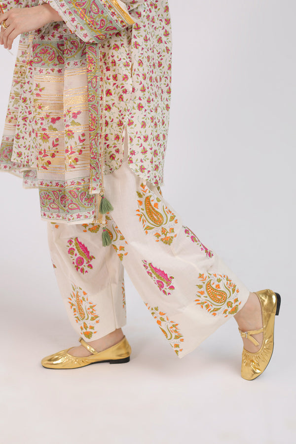 Anarkali Opulent 3 Piece Suit