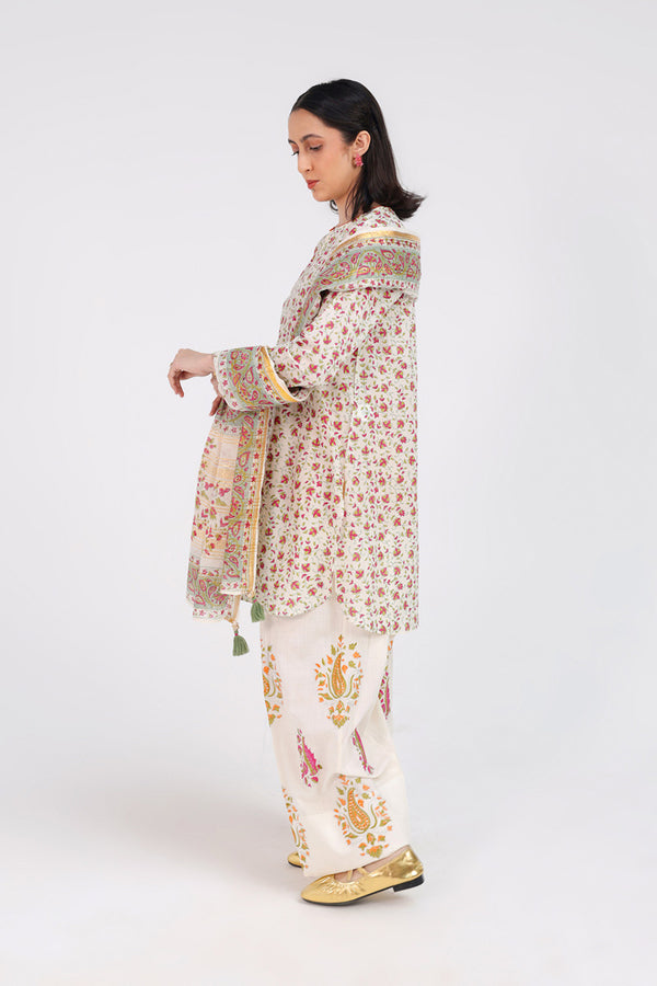 Anarkali Opulent 3 Piece Suit