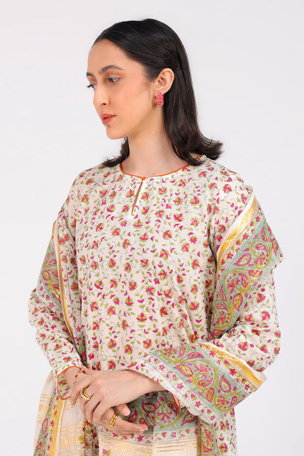 Anarkali Opulent 3 Piece Suit