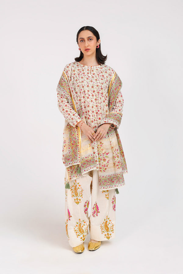 Anarkali Opulent 3 Piece Suit