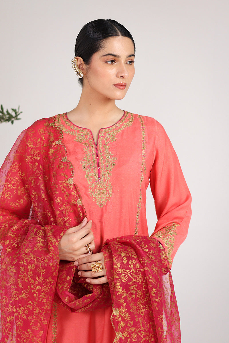 Hues of Red Zareen 3 Piece