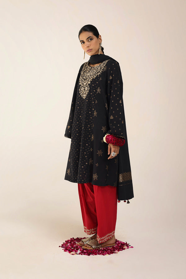 Raat ki Rani Raqs Suit