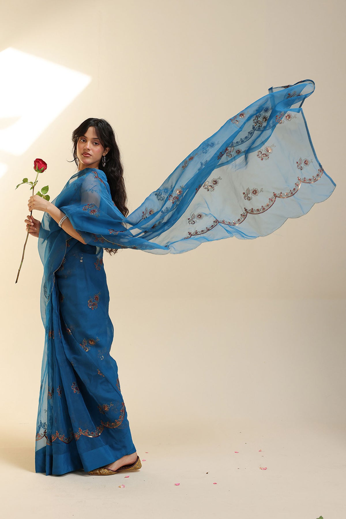 Khaas Sequin Saree