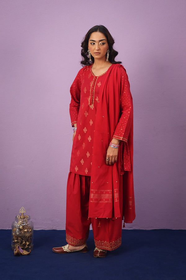 Raat ki Rani Zerwesh Suit