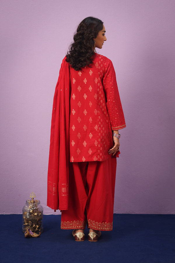 Raat ki Rani Zerwesh Suit