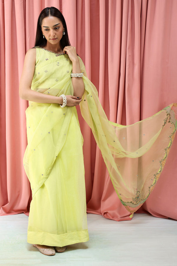 Mahrani Embroidered Nur Saree