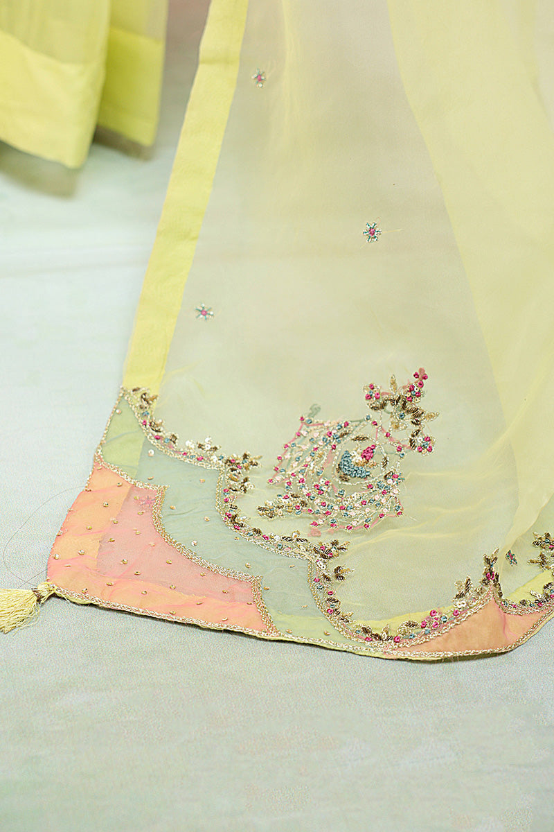 Mahrani Formal Saree