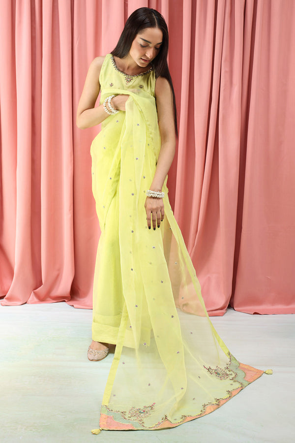 Mahrani Embroidered Nur Saree