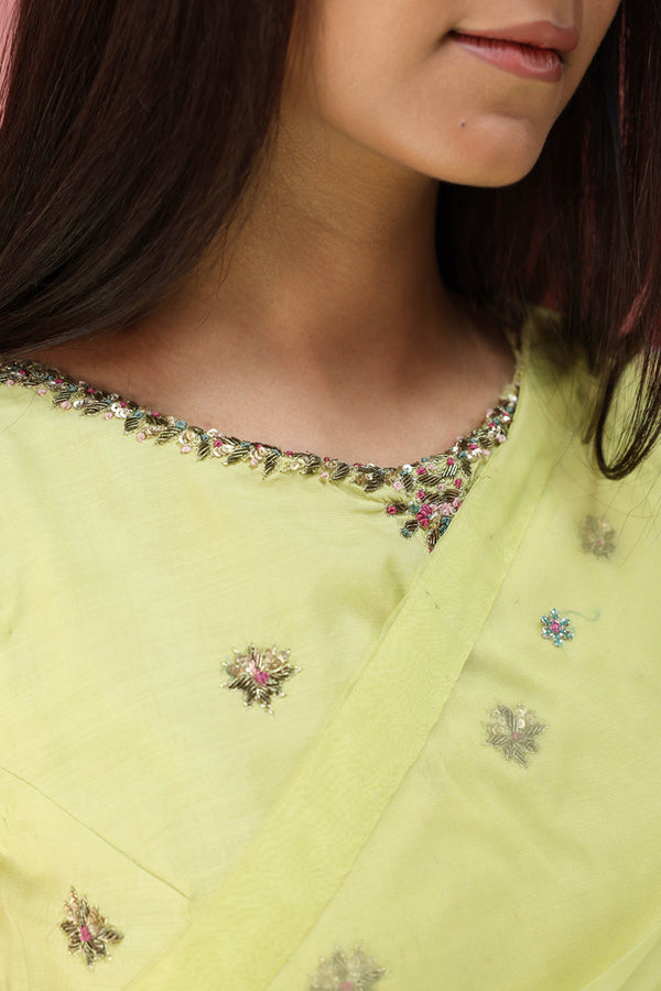 Mahrani Embroidered Nur Saree