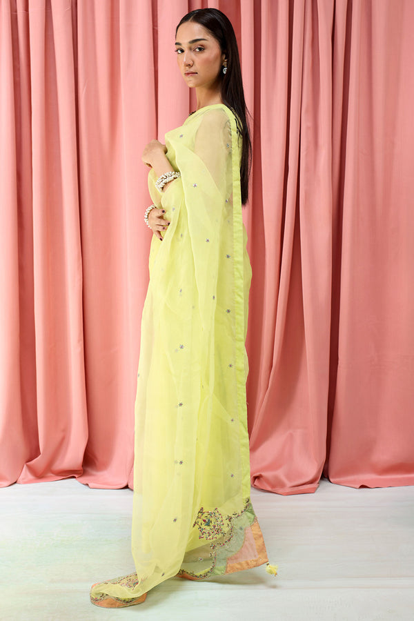 Mahrani Embroidered Nur Saree