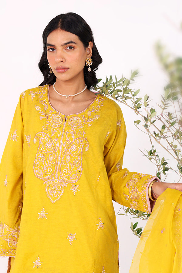 Glitz Panni Resham Rang 3 Piece