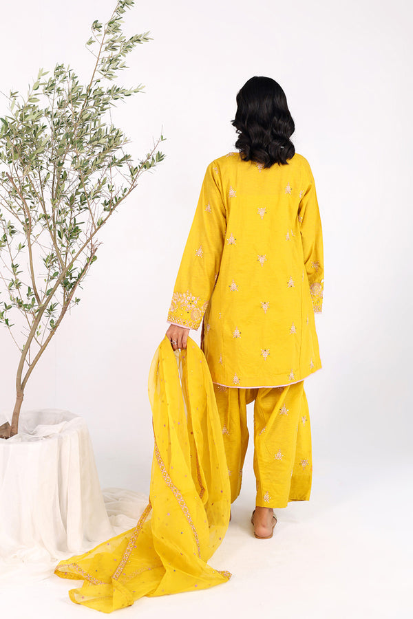 Glitz Panni Resham Rang 3 Piece