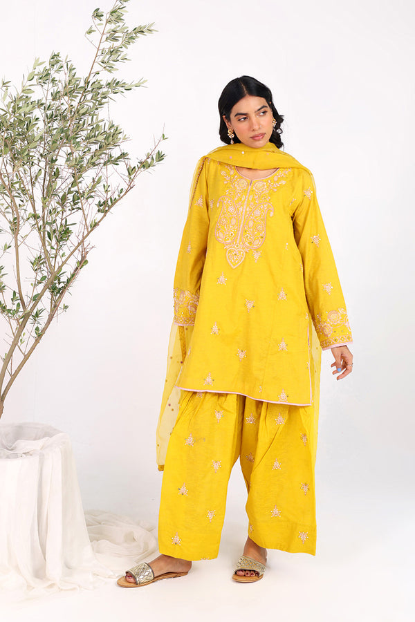 Glitz Panni Resham Rang 3 Piece