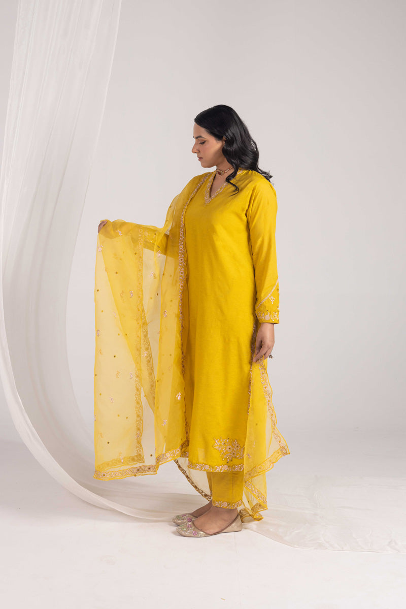 Opulent Glitz Panni Ensemble
