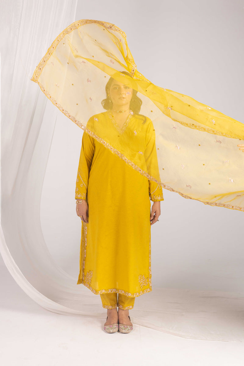 Opulent Glitz Panni Ensemble