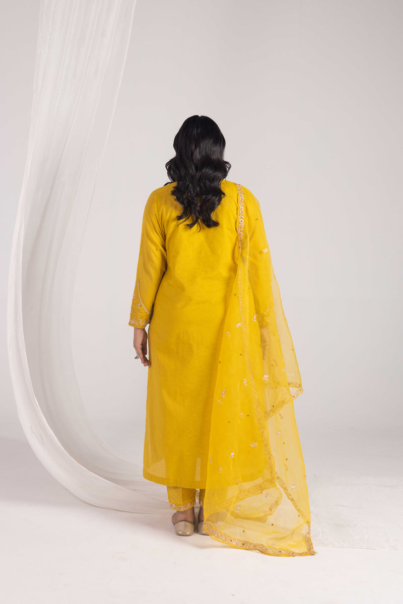 Opulent Glitz Panni Ensemble