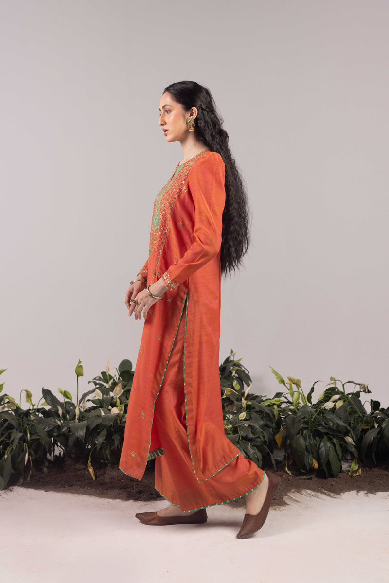 Zardozi Shoukh Rang Duo