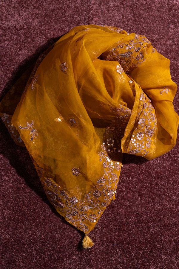 Silver Zari Nur Dupatta