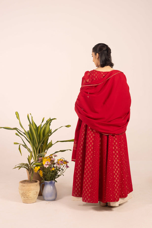 Suit Raat ki Rani Gota Suit