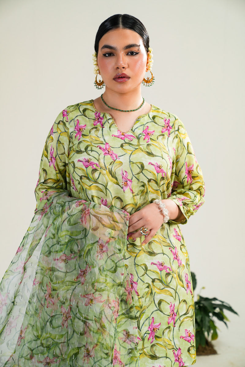Sunehri Phool Rang & Dastaan Ensemble