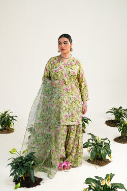 Sunehri Phool Rang & Dastaan Ensemble