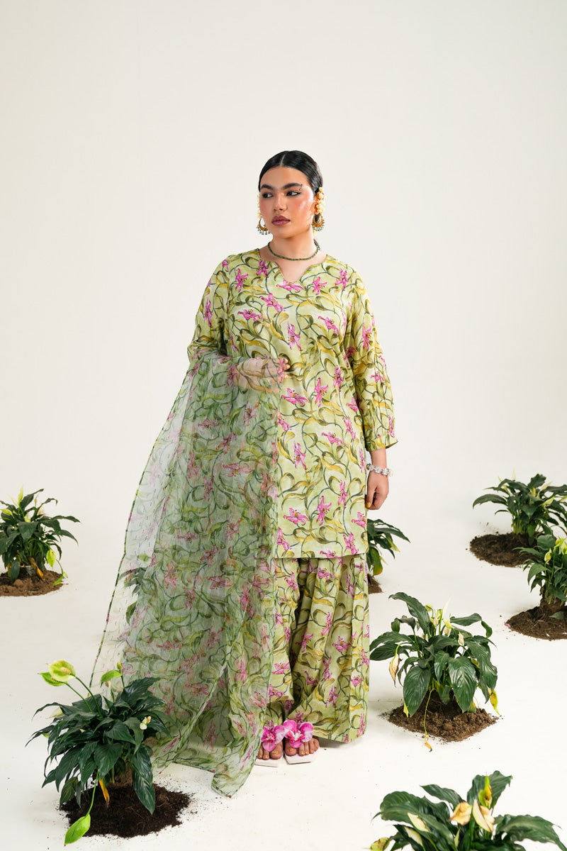 Sunehri Phool Rang & Dastaan Ensemble