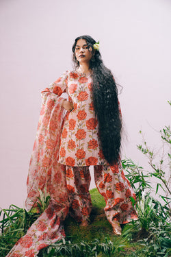 Gul Bahar Phool Rang & Dastaan 3 Piece Suit