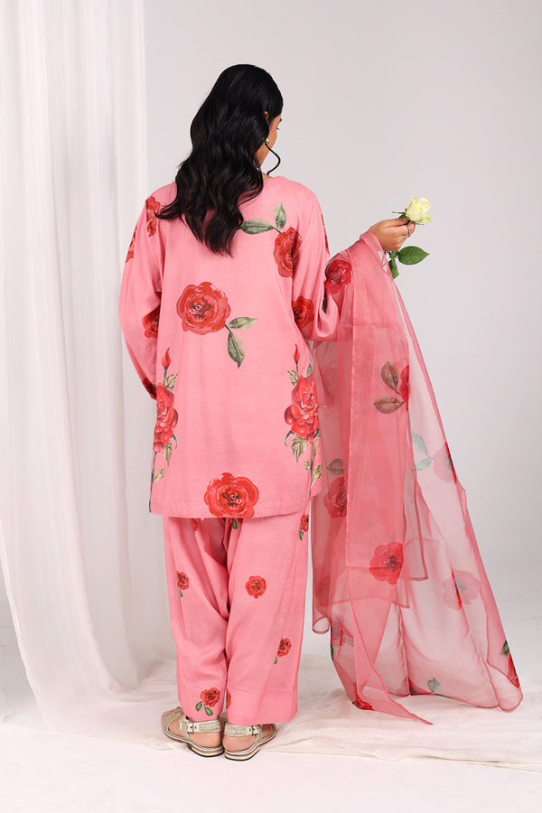 Bahar Phool Rang & Dastaan 3