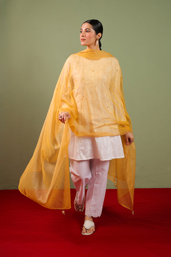 Golden Dusk Dupatta