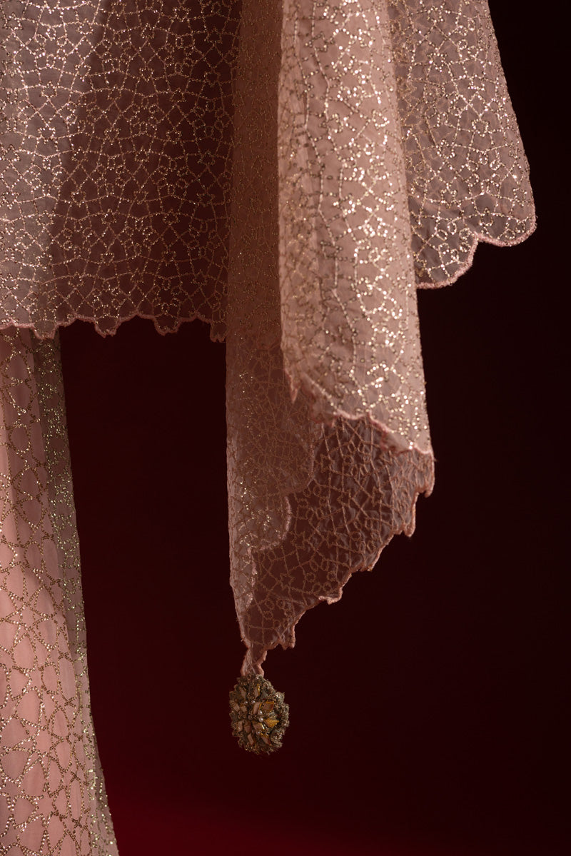Raqs-e-Nur Anarkali Ensemble