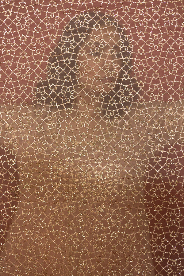 Raqs-e-Nur Anarkali Ensemble