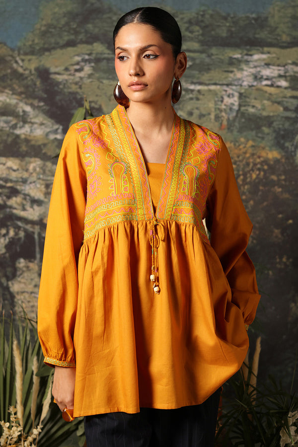 Color Waves Embroidered Top