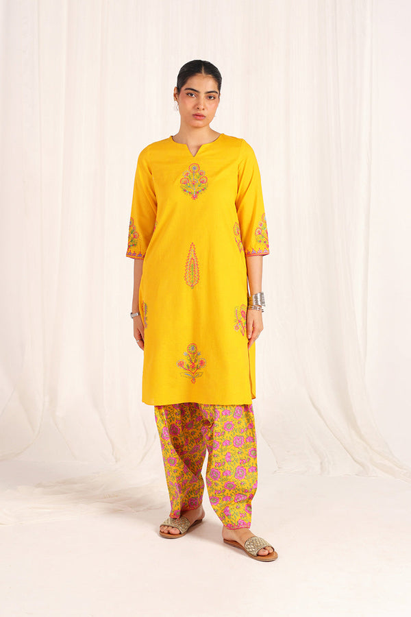 Kachnaar Aari Kahani Ensemble