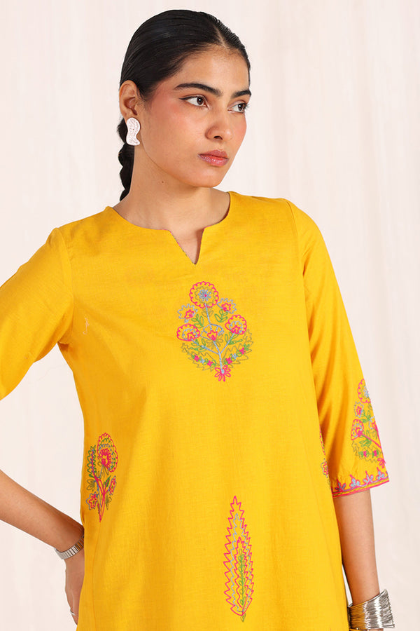 Kachnaar Aari Kahani Ensemble